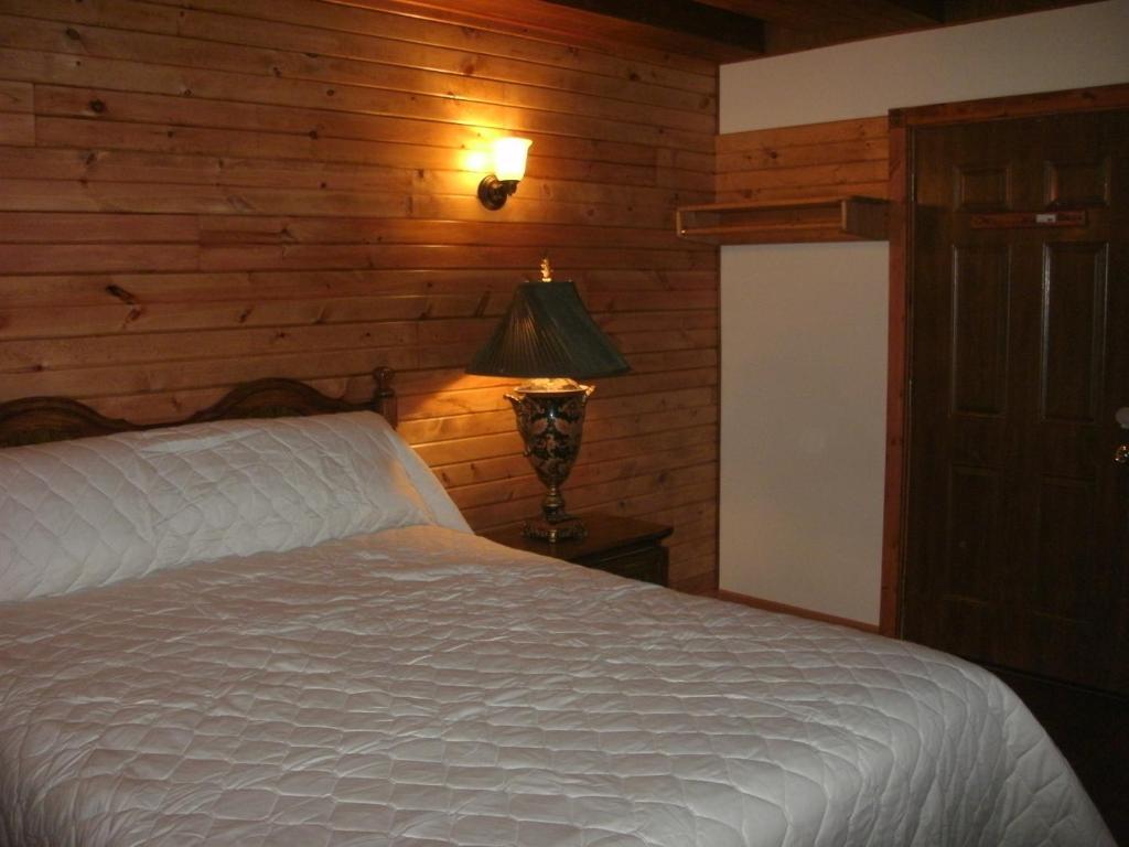 מישיגן סיטי Cool Springs Inn חדר תמונה